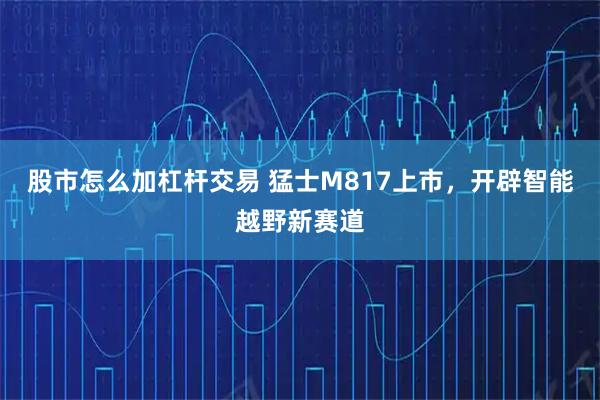 股市怎么加杠杆交易 猛士M817上市，开辟智能越野新赛道